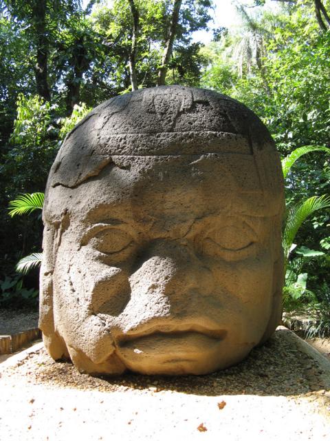 A giant stone head from the Olmec civilization, the oldest culture in Mexico, preceding the Maya.